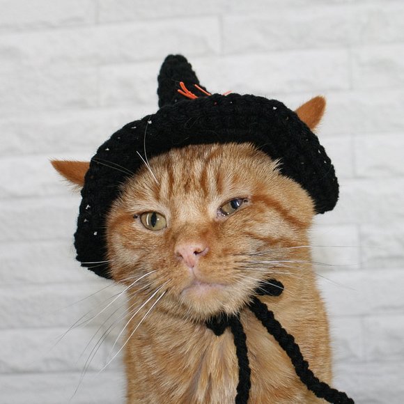 HAND CRAFTED Crochet Halloween Witch Hat Spider Cat Costume Photo Prop - Picture 3 of 13